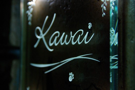 kawaifsled1up.jpg
