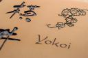 yokoiup.jpg
