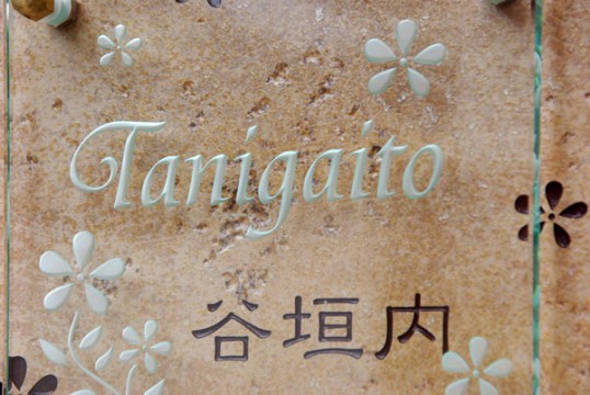 tanigaitofsup.jpg