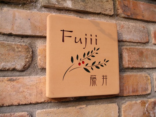 fuji1.jpg