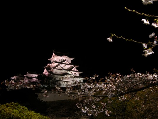 himejijyo2007.jpg