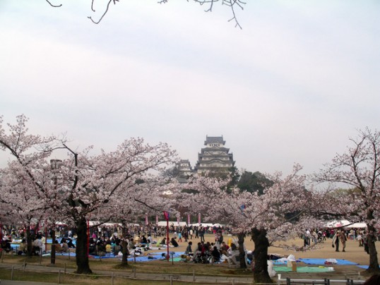 hitoyasumi31.jpg