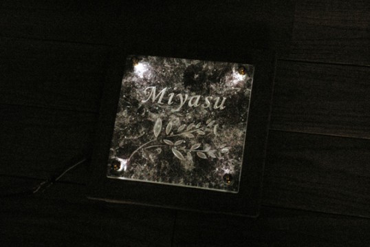 miyasufsled1.jpg