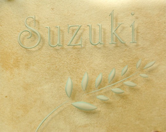 suzuki22.jpg