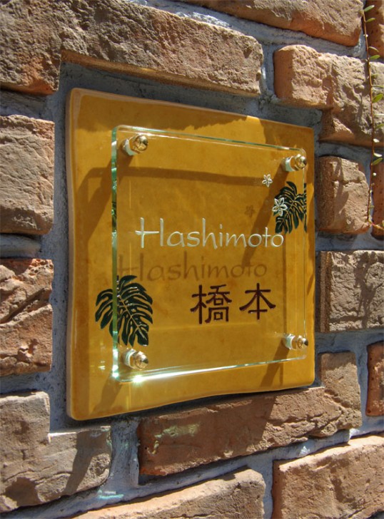 hashimotofs