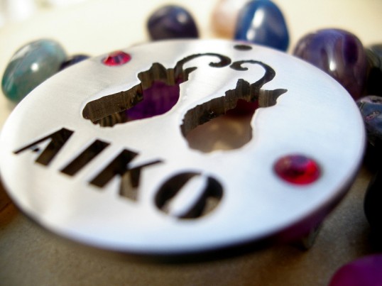 aiko1.jpg