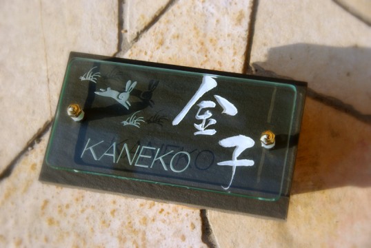 kanekoledw.jpg