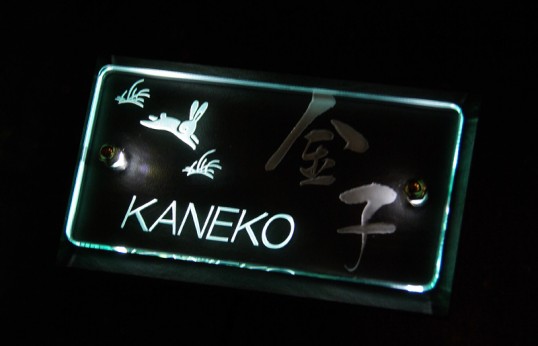 kanekoledw1.jpg