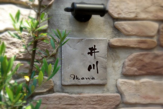 ikawa.jpg