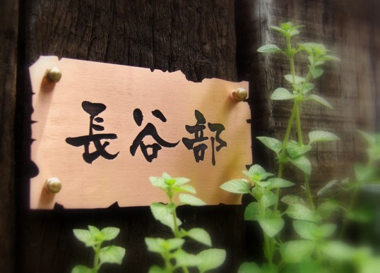 hasebe1