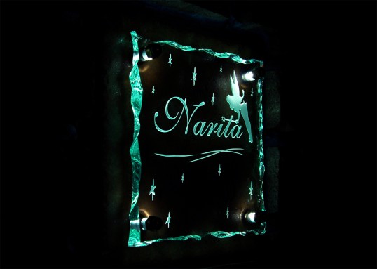 naritaFSLED