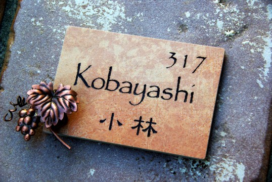 kobayashi2