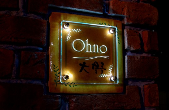 ohnoFSLED1