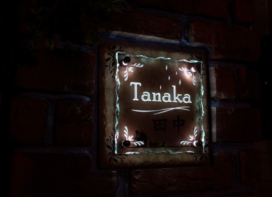tanakaFSLEDR1