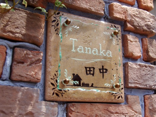 tanakaFSLEDR4