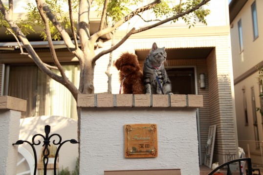 890 (1024x683) (1024x683)