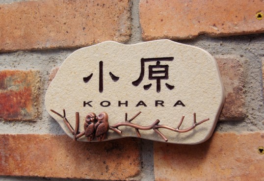 kohara4