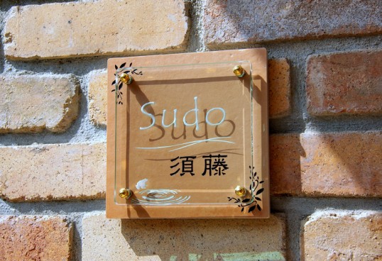 sudo