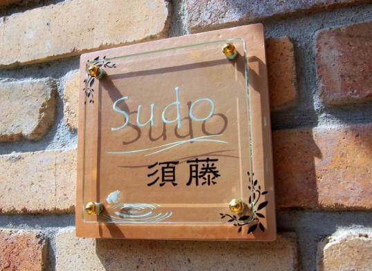 sudo1