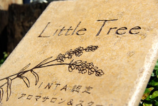 littletree1