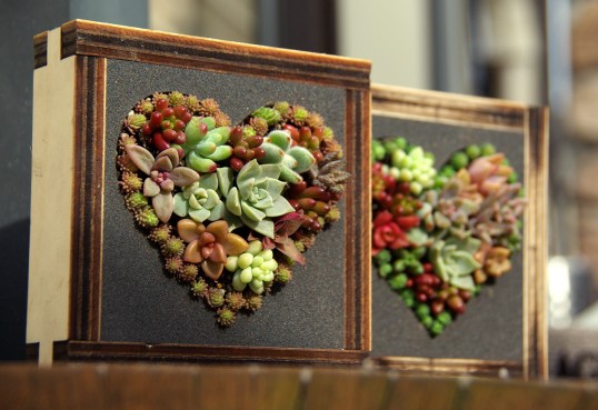 多肉アレンジ