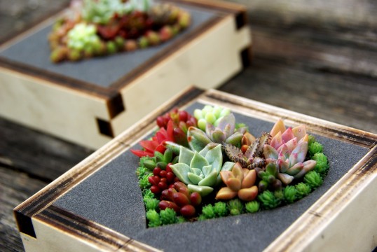 多肉アレンジ