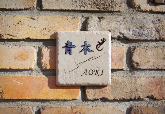 aokiR1