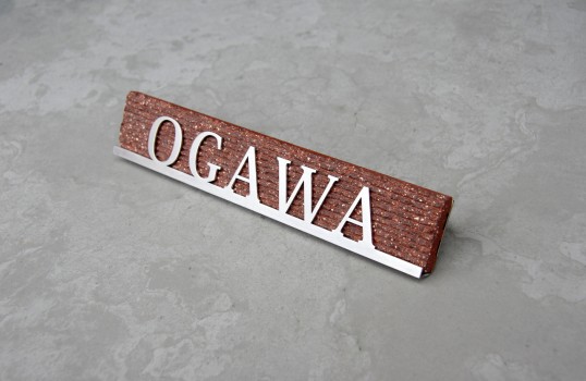 ogawaM1