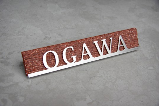 ogawaM2