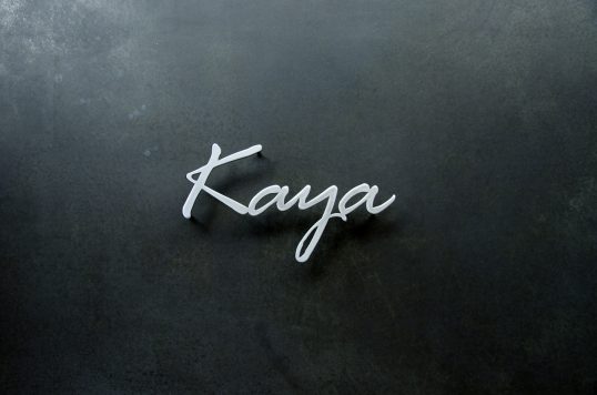 ステンレス切り文字表札