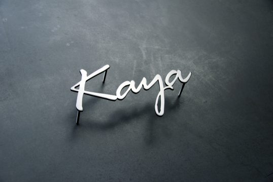 ステンレス切り文字表札