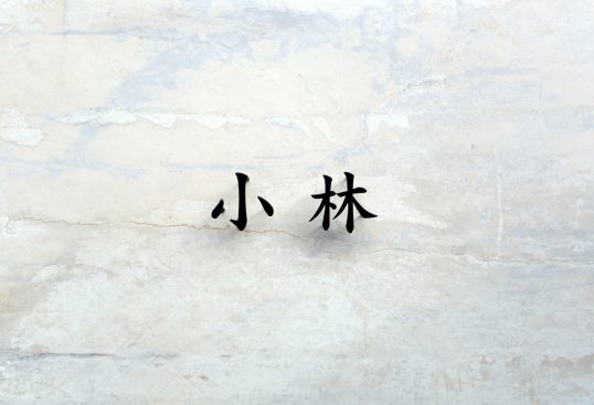 ステンレス切り文字表札