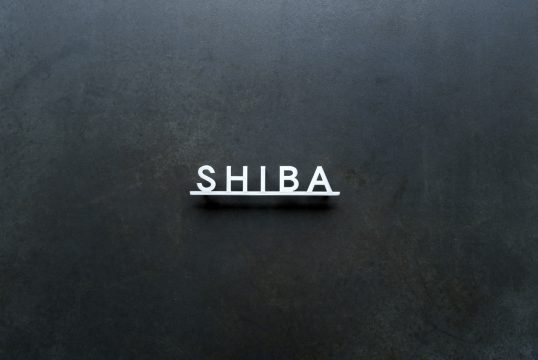 ステンレス切り文字表札