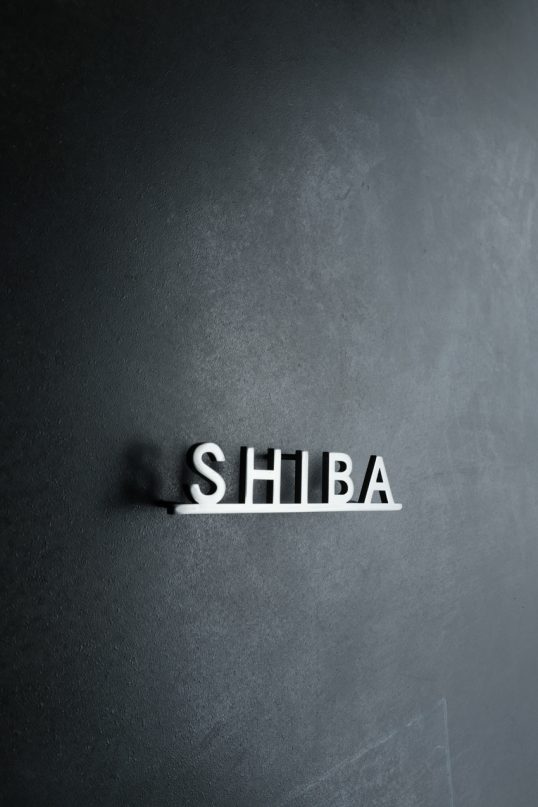 ステンレス切り文字表札