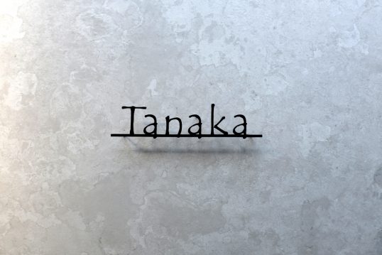 ステンレス切り文字表札