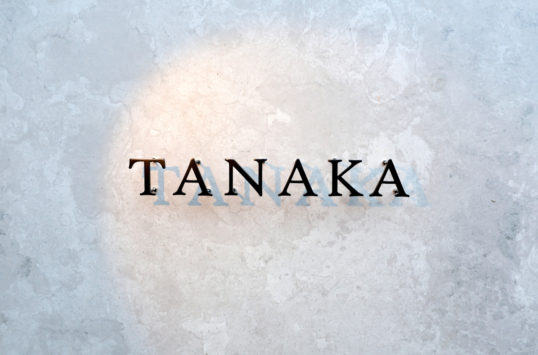 ステンレス切り文字表札