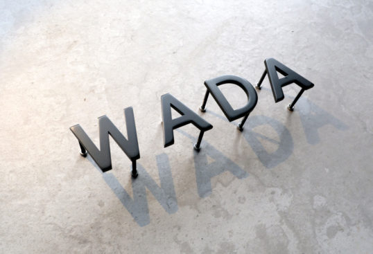 ステンレス切り文字表札