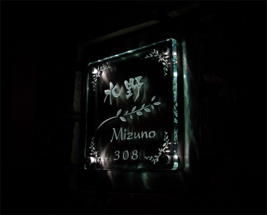mizunofsled1.jpg