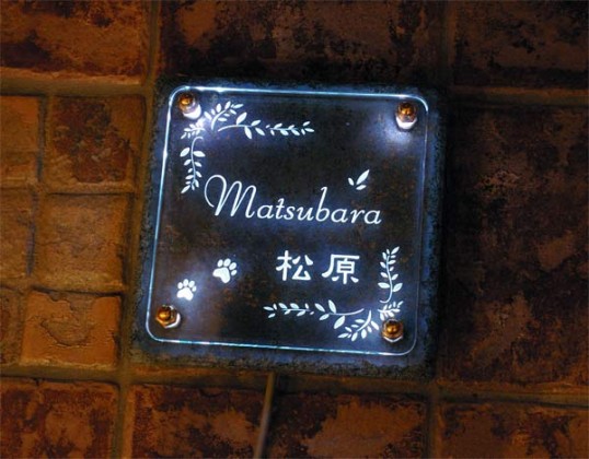 matsubara1.jpg