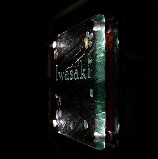 iwasakifsled2.jpg