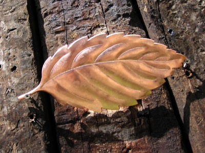 20020604204210.jpg 20020604204210.jpg