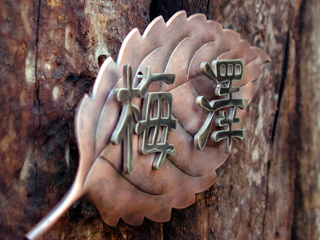 20020604205534.jpg 20020604205534.jpg