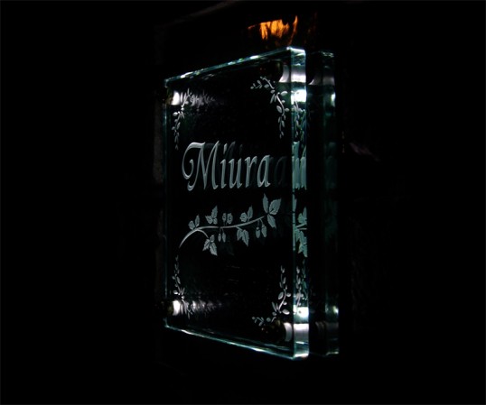 miurafsled2.jpg