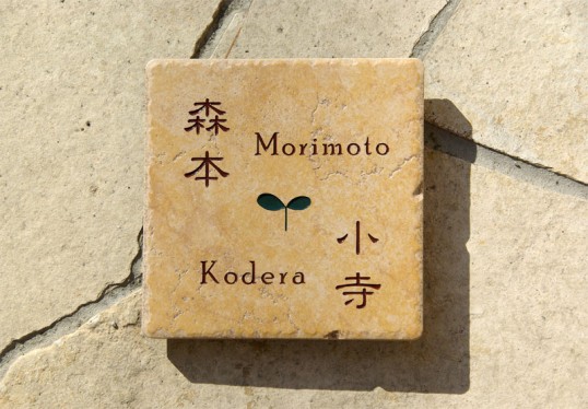 morimotokodera1.jpg