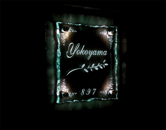yokoyamafsled3.jpg