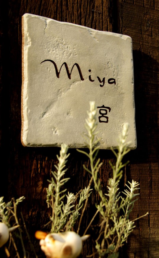 miya.jpg