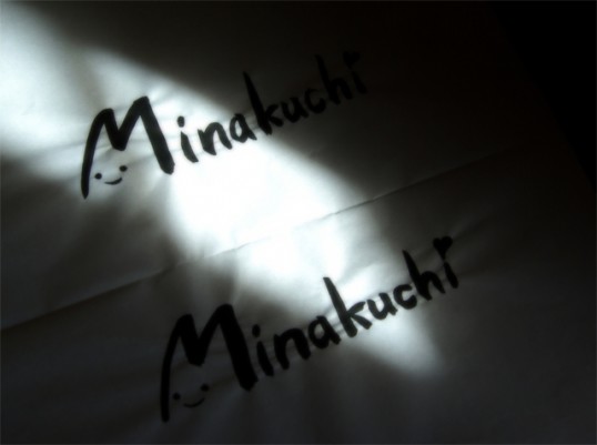 minaguchiFSLED2