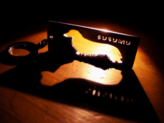 susumu1