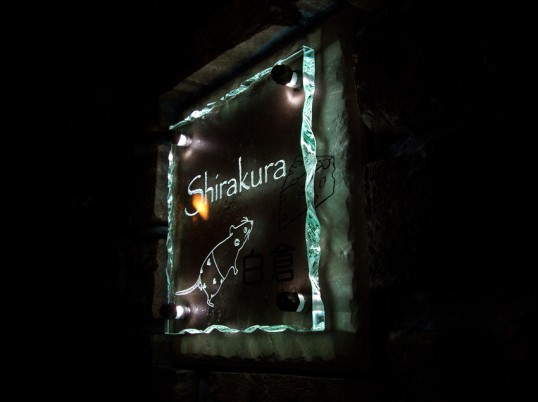 shirakuraFSLED