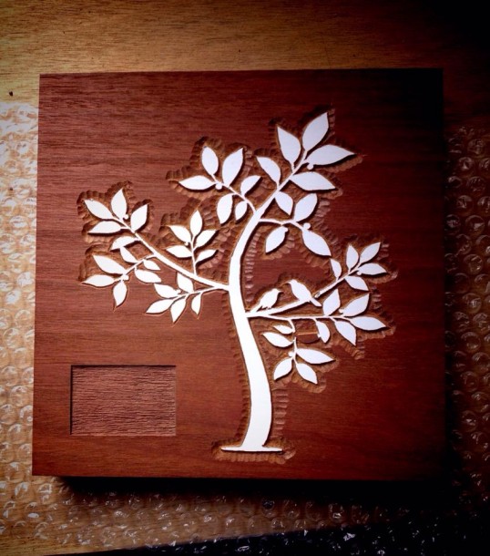 1391493_557508594297866_548945733_n